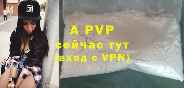 эйфоретик Бородино