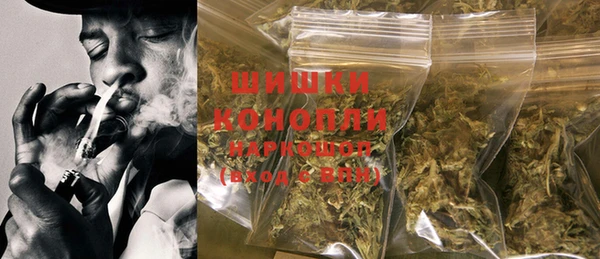 эйфоретик Бородино